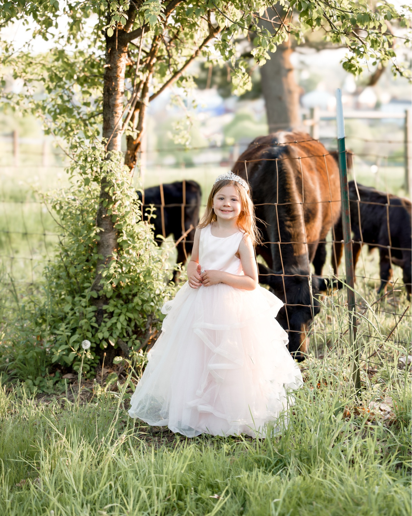 I got this dress at Dillard’s but it’s no longer available! I linked some similar ones. 

Birthday dress, flower girl dress, princess dress, princess costume, crown, dress up crown

#birthdaydress #princessdress #princesscostume #flowergirldressi

#LTKWedding #LTKKids