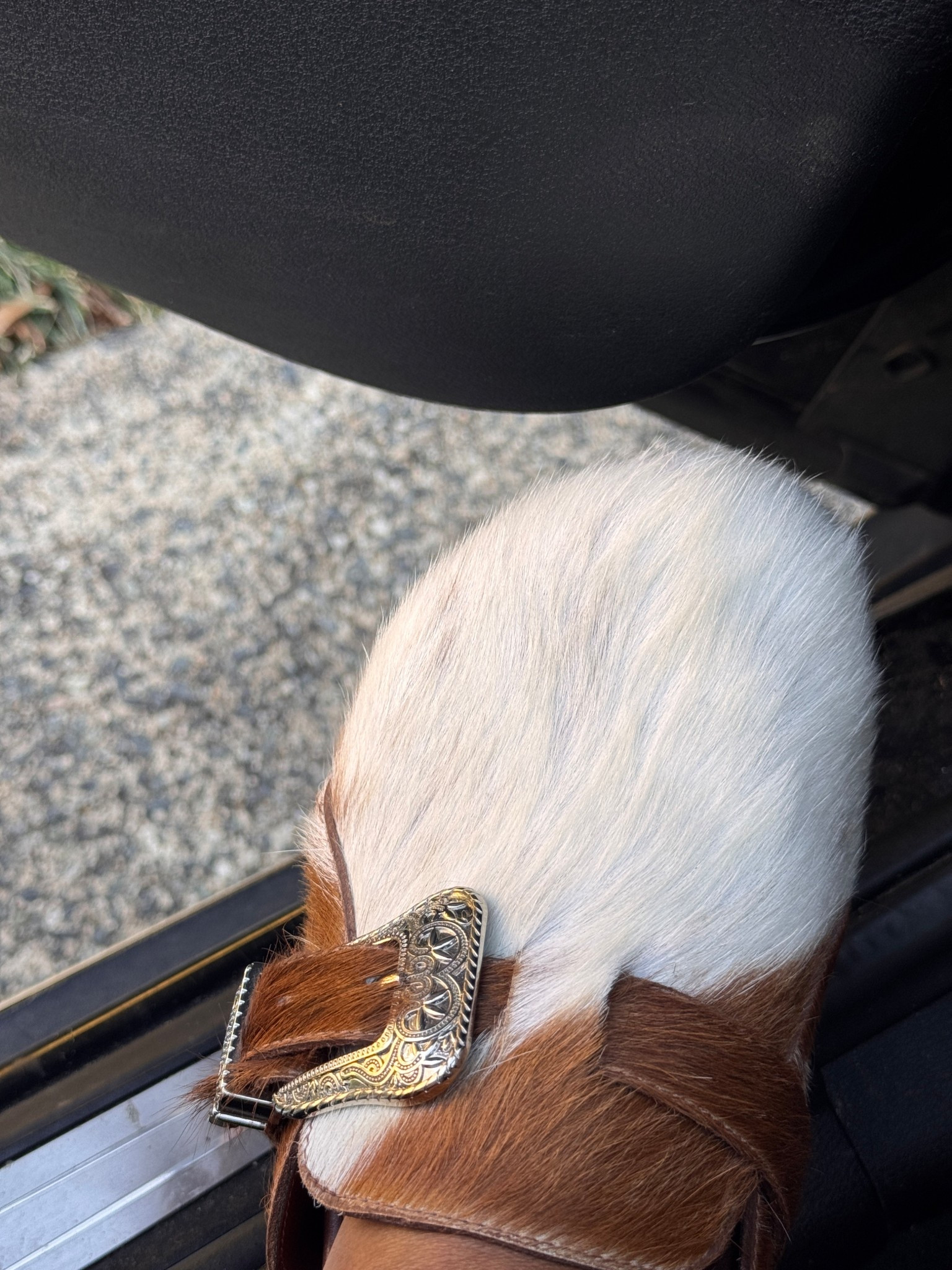 Actually obsessed with these calf-hair clogs 😍

#LTKootd #LTKSaleAlert #LTKSeasonal