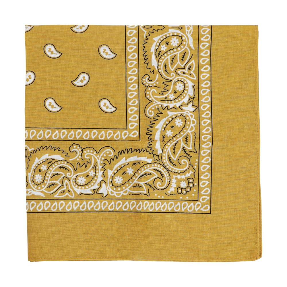 Motique Accessories 22 Inch Cotton Paisley Bandana | Amazon (US)