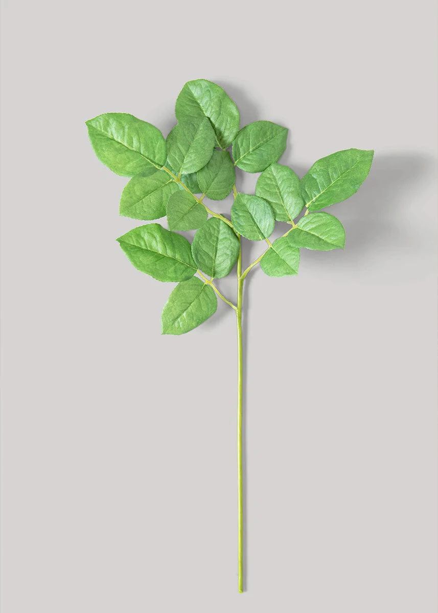 Artificial Rose Leaves Stem - 19 | Afloral