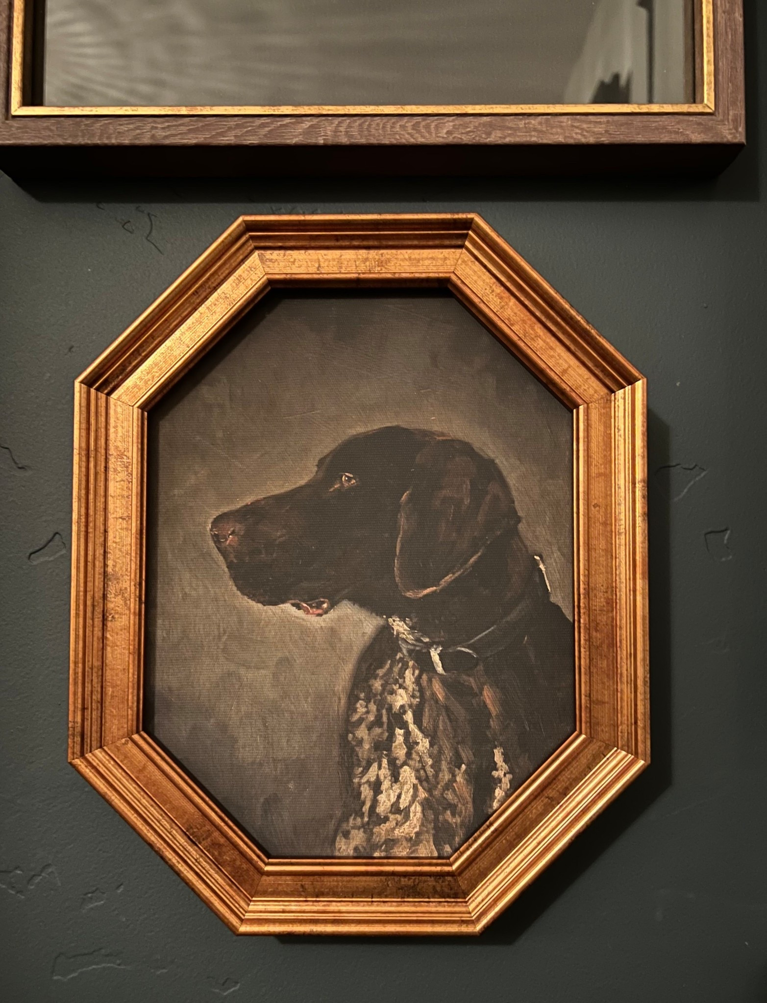 Added new framed art to our gallery wall. I love this one and it’s only $15! 

#LTKHome