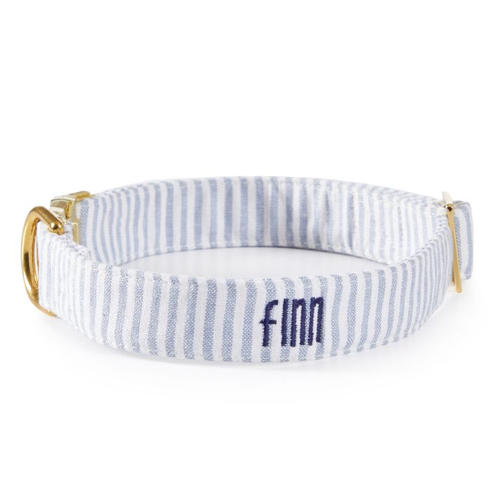 The Foggy Dog Collar | Mark and Graham