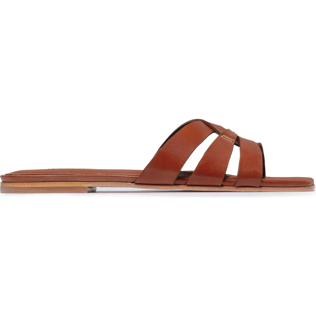 Bernardo Footwear Oxford Flat Sandal in Cognac at Nordstrom, Size 9.5 | Nordstrom