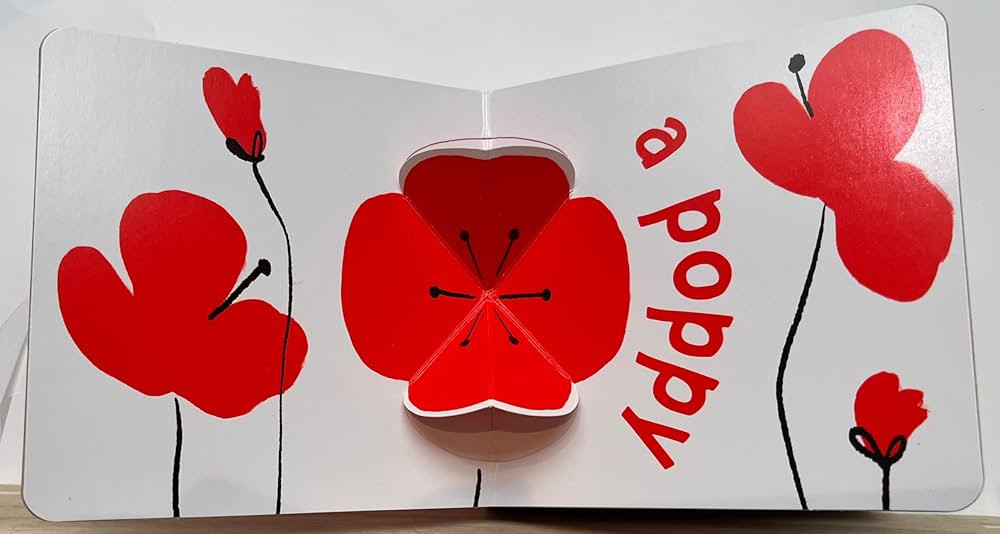 Red Pop (With 6 Playful Pop-Ups!): A Pop-Up Board Book (Color Pops) | Amazon (US)