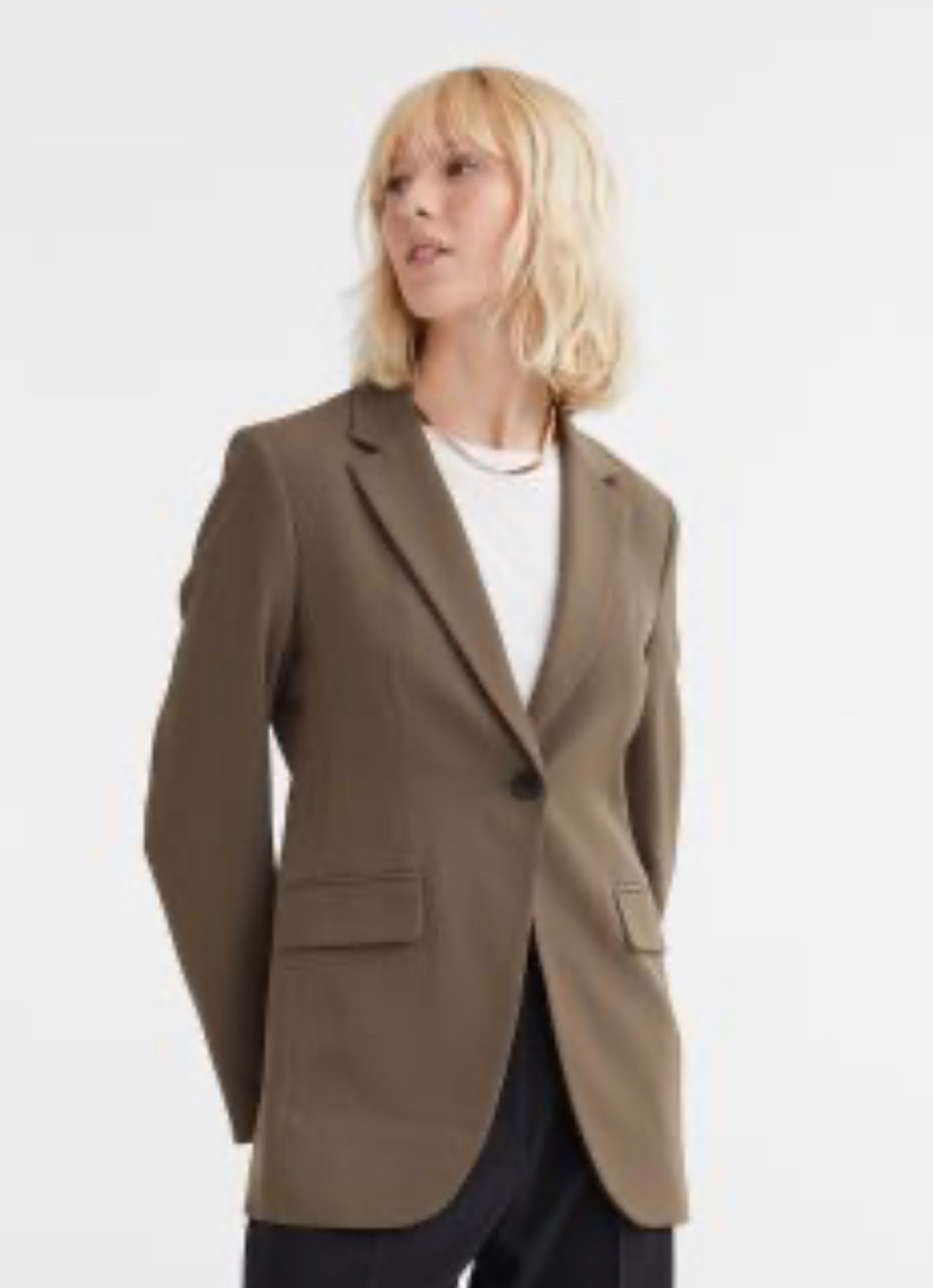 H&M Mole Blazer 

#LTKstyletip #LTKunder50 #LTKsalealert