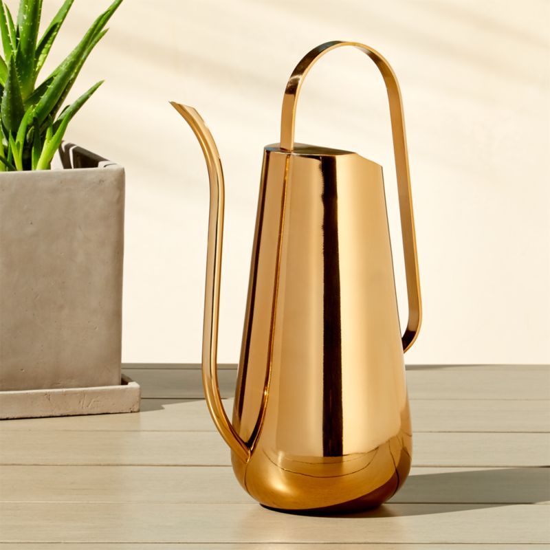 Brass Watering Can + Reviews | CB2 | CB2