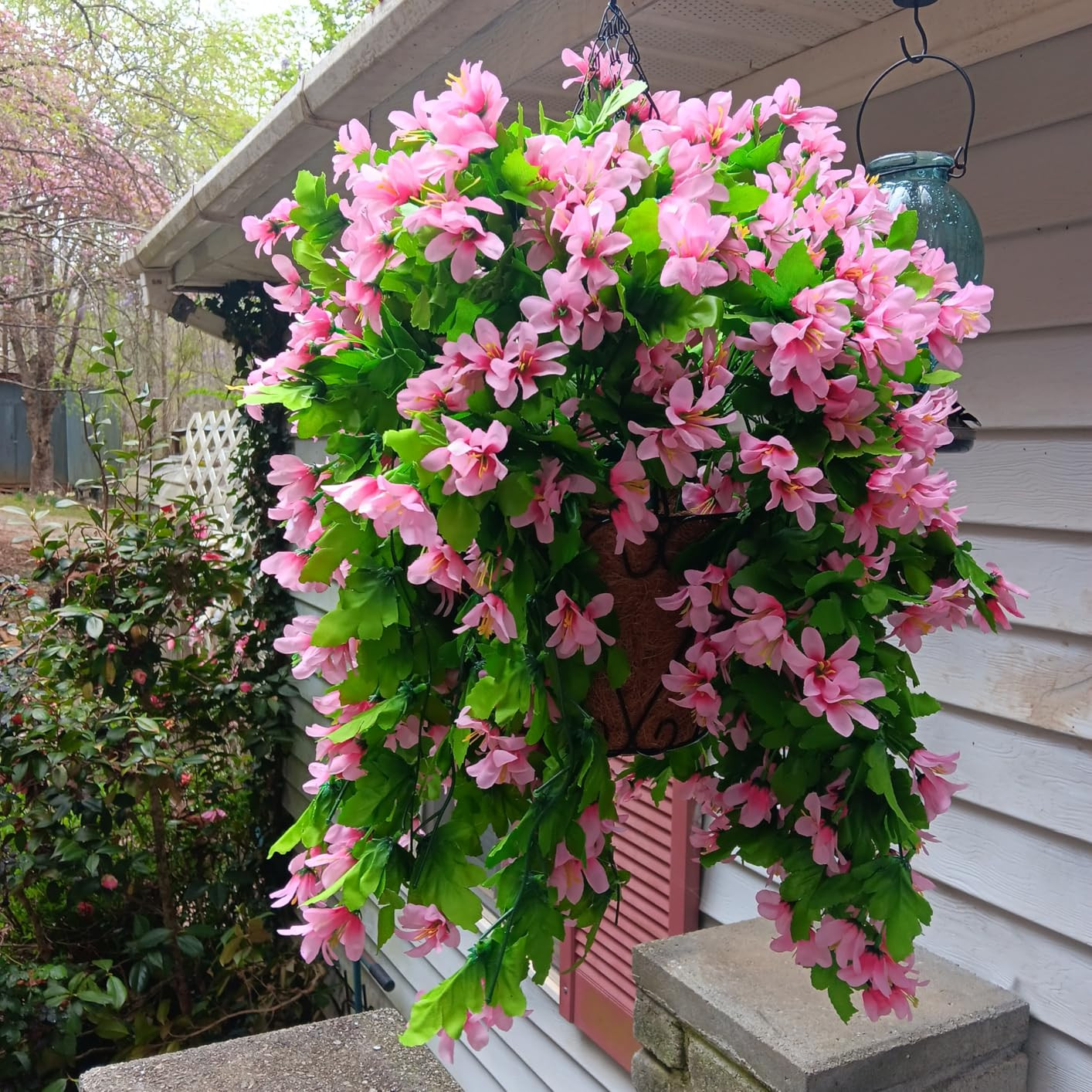 Visit the INQCMY Store | Amazon (US)