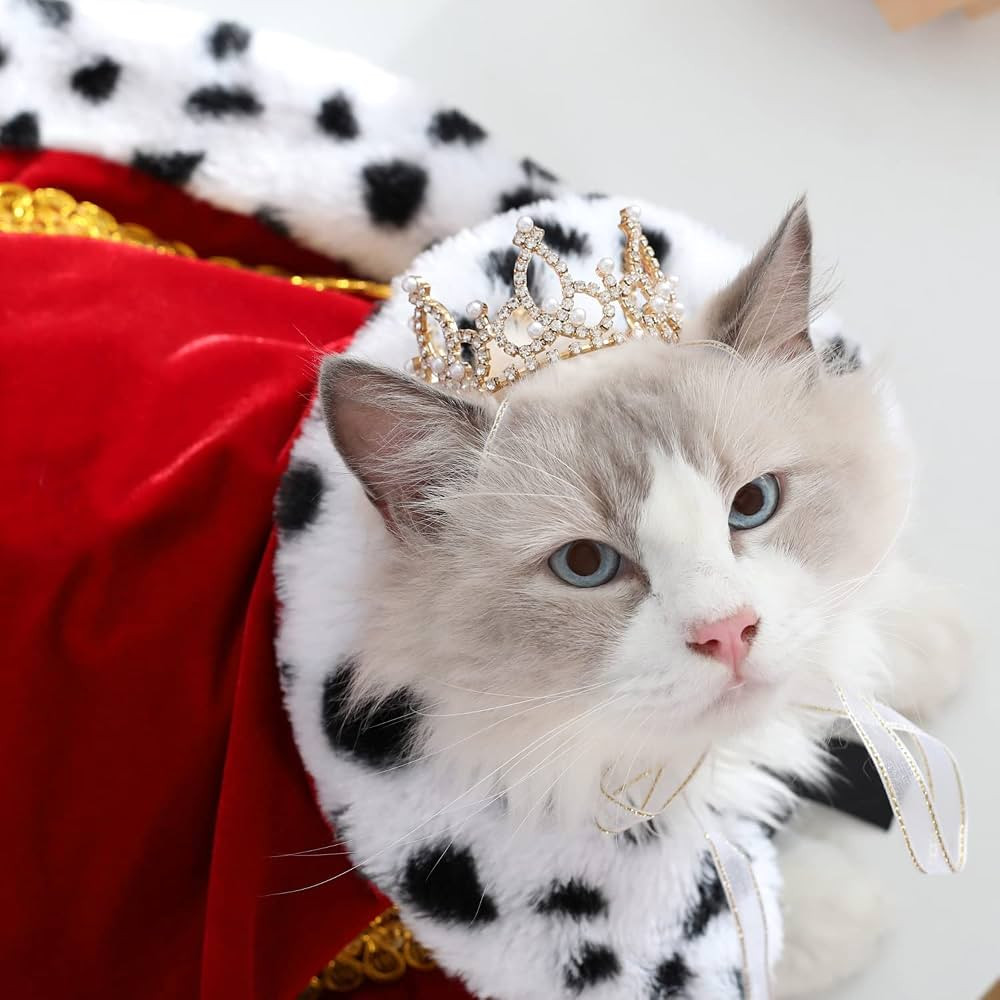 Lovelyshop Pet Series Gold Plated Royal Rhinestone Pearl Full Round Dog/Cat Crown for Rolyal Fami... | Amazon (US)