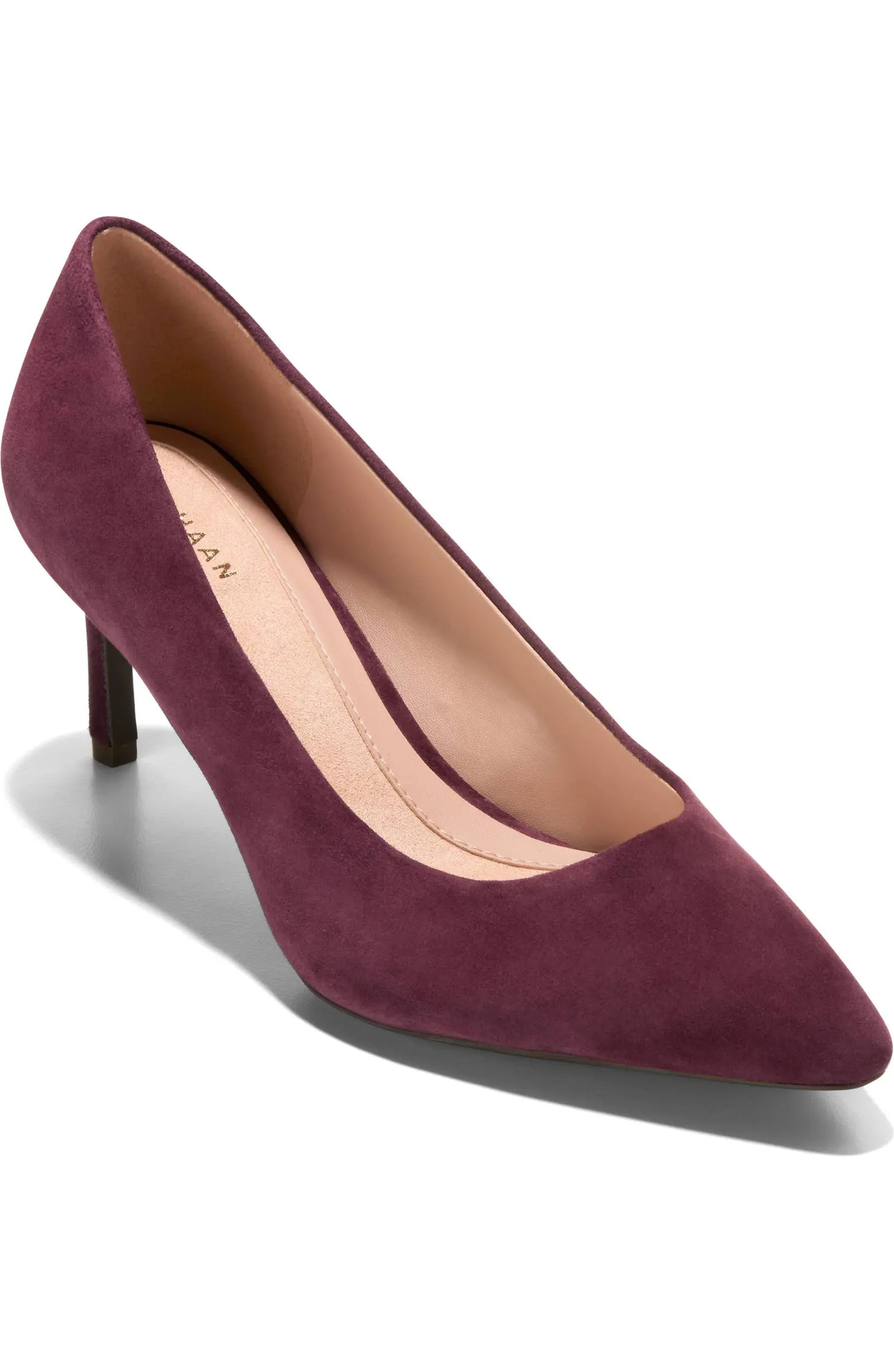 Cole Haan The Go-To Janey Pointed Toe Pump (Women) | Nordstromrack | Nordstrom Rack