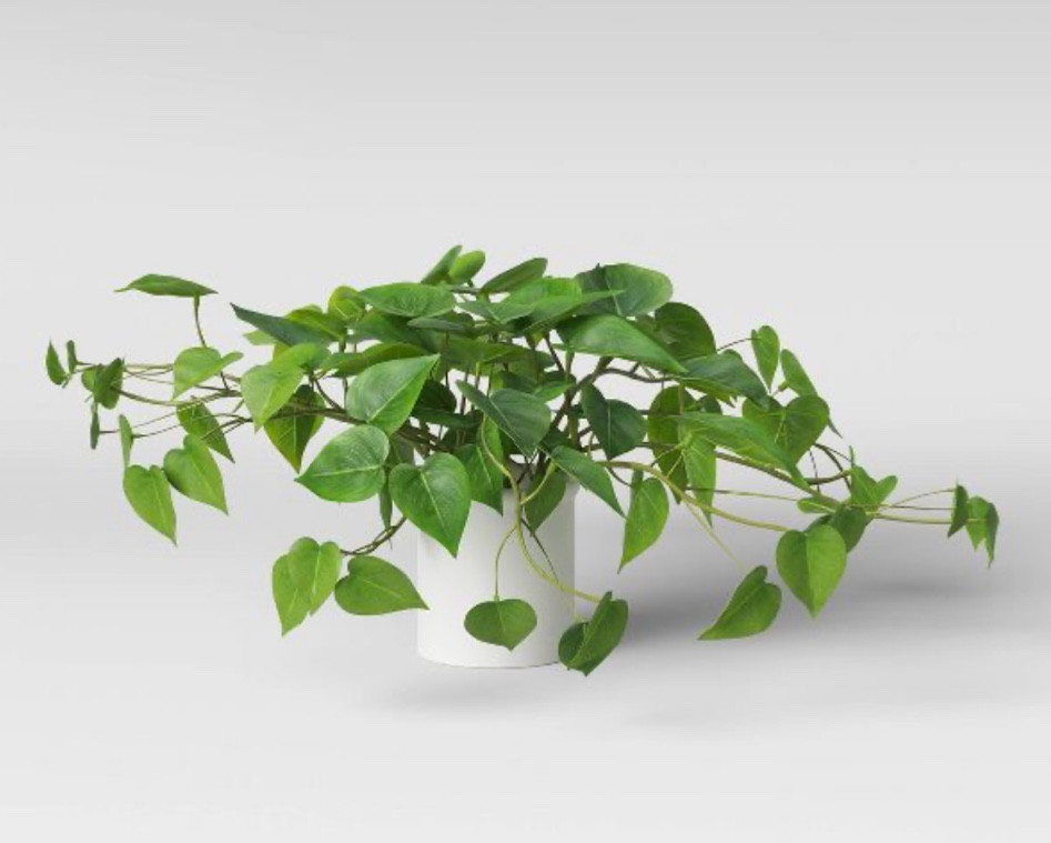 home decor, artificial plant, decor 

#LTKhome #LTKunder50 #LTKstyletip