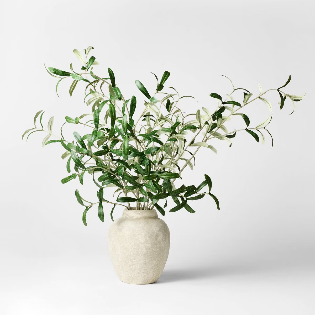 Olive Leaf Potted Arrangement - Threshold™ designed with Studio McGee | Target
