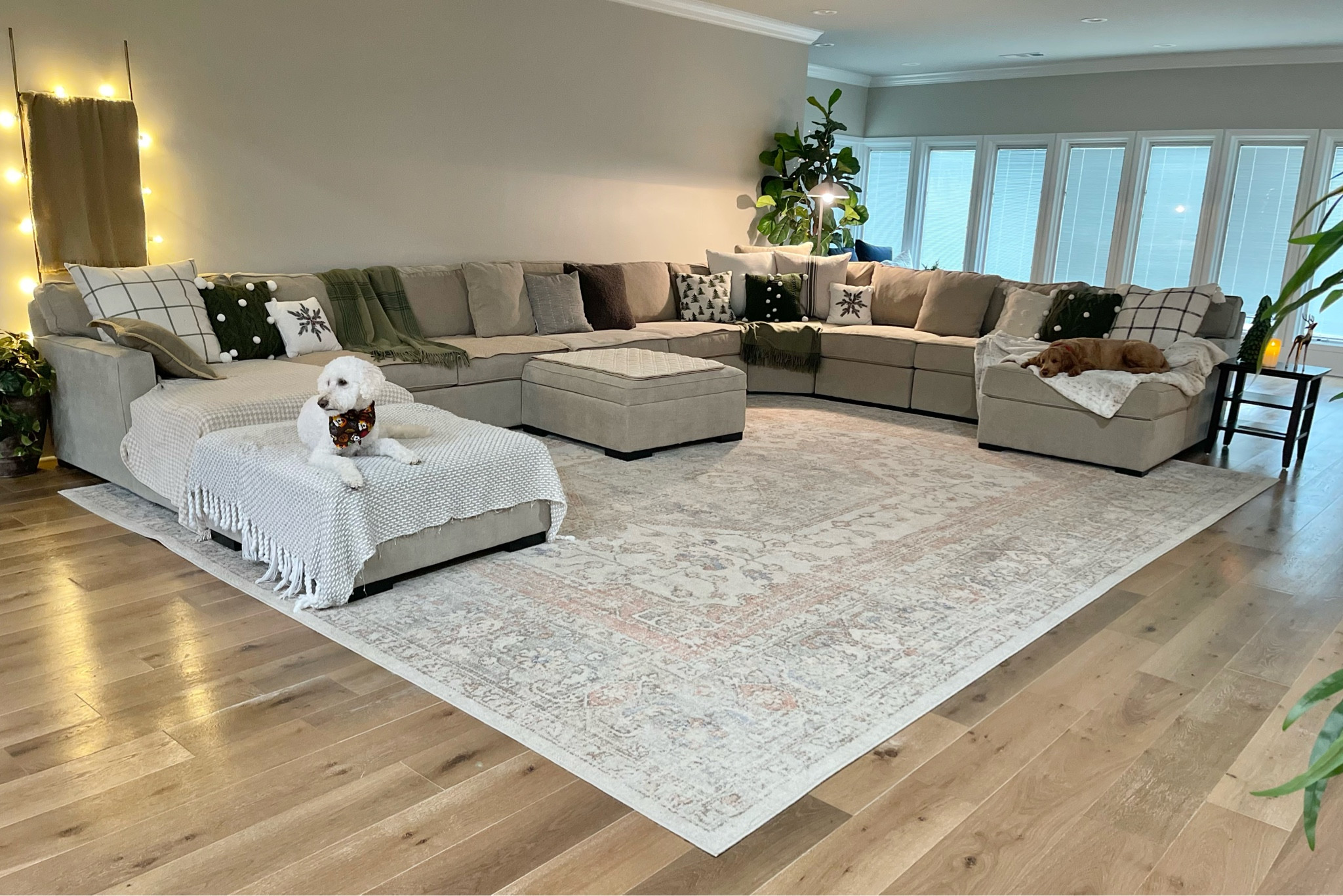 This Radley Sectional is ON SALE (47% Off) through Black Friday! It can be configured any way you like - big or small! Mine is color - Heavenly Chrome and has 2 chaise and 2 rolling storage ottomans. #Radleysofa  #ltk 

#LTKCyberweek #LTKhome #LTKHoliday