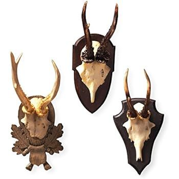 Kathy Kuo Home Alsace Hunt Club Reproduction Antler Wall Mount Trophy- Set of 3 | Amazon (US)
