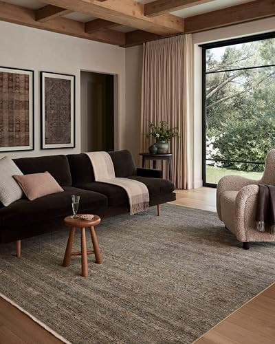 Loloi Amber Lewis Molly Collection MOL-05 Lagoon/Natural 7'-10" x 10' Low Pile Area Rug | Amazon (US)