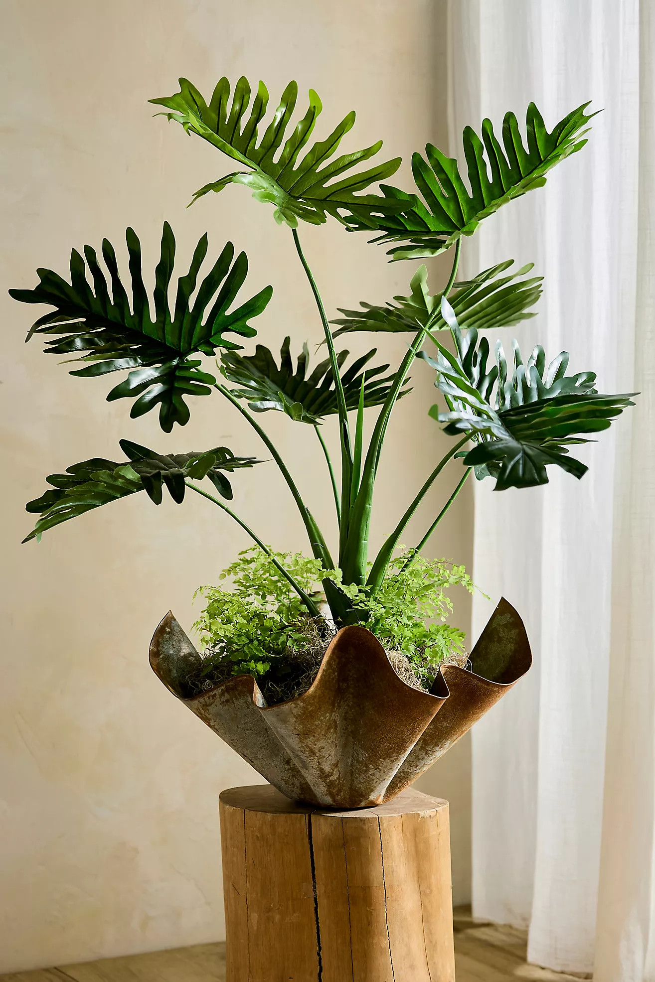 Faux Tree Philodendron | Anthropologie (US)