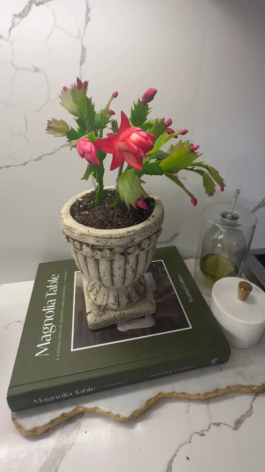 ✨ “A little Christmas cactus magic on the kitchen counter — just the right touch of quiet merriment.”

#LTKHoliday #LTKHome #LTKSeasonal