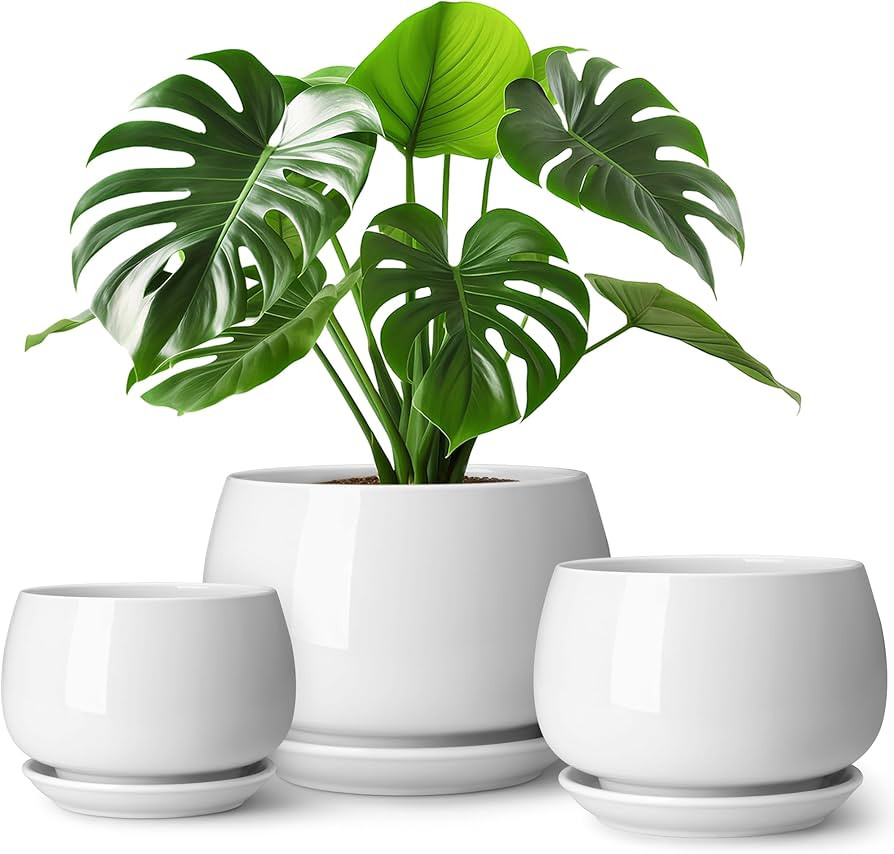 vancasso 3-Pack Ceramic Plant Pots, 3.7/4.8/6.2 Inch Indoor Planters with Saucers & Drainage Hole... | Amazon (US)