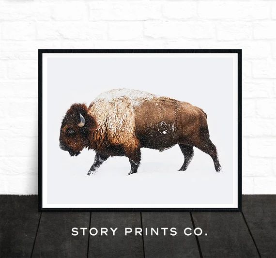 Buffalo Print, Bison Print, Large Wall Art Print, Animal Prints, Animal Poster Art, Living Room Art, | Etsy (CAD)