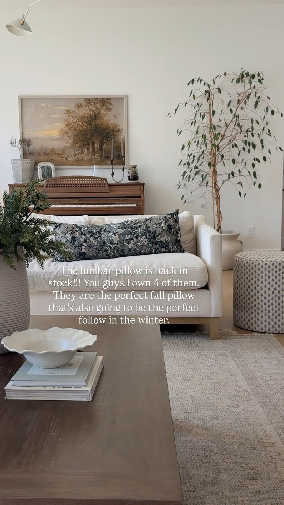 I love little fall touches in a room! From the pillows to the cedar stems 

 #LTKSeasonal #LTKHome