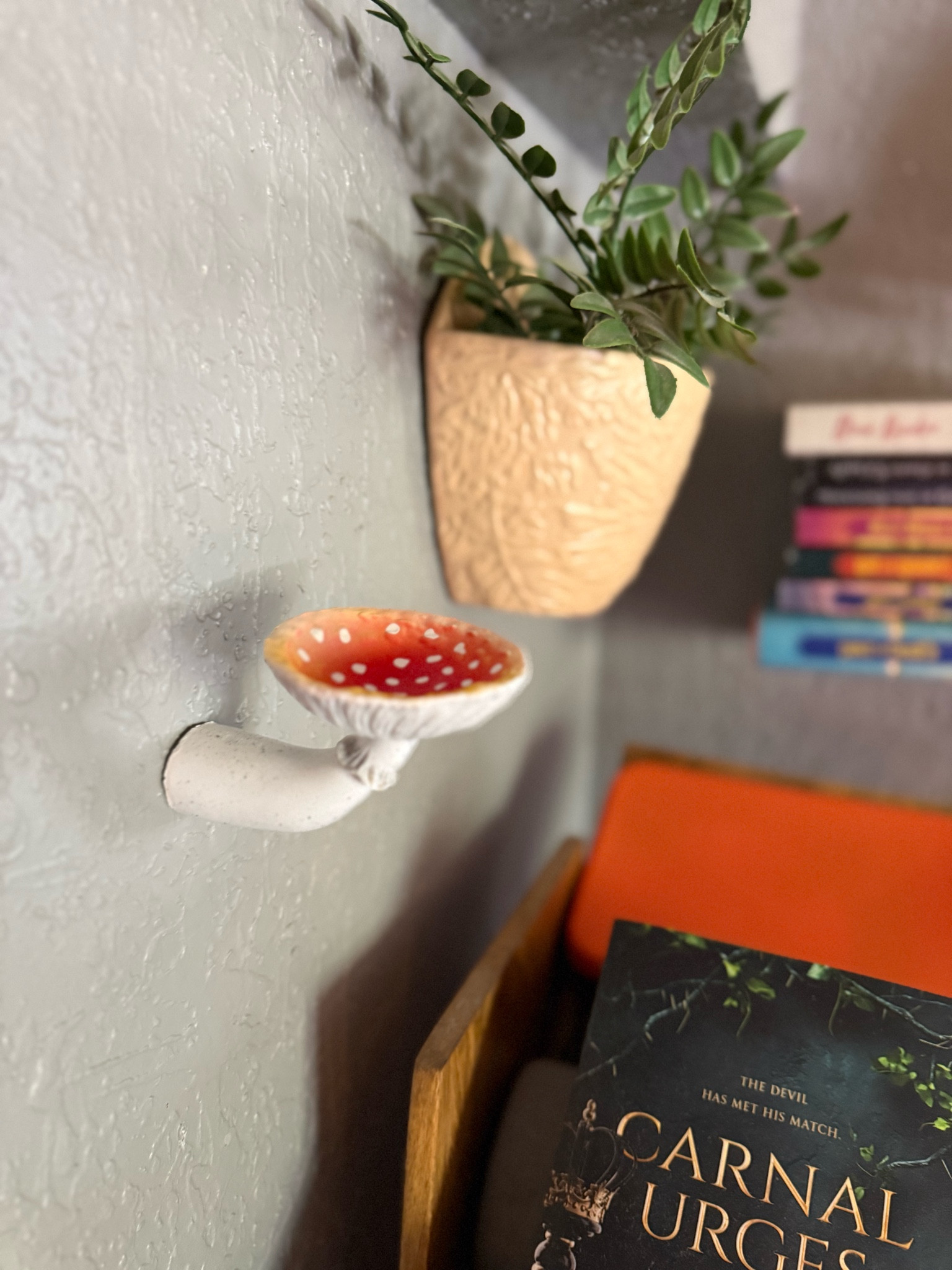 mushroom 3 pack i’ve added to my book wall 🍄

#LTKStyleTip #LTKFamily #LTKSeasonal