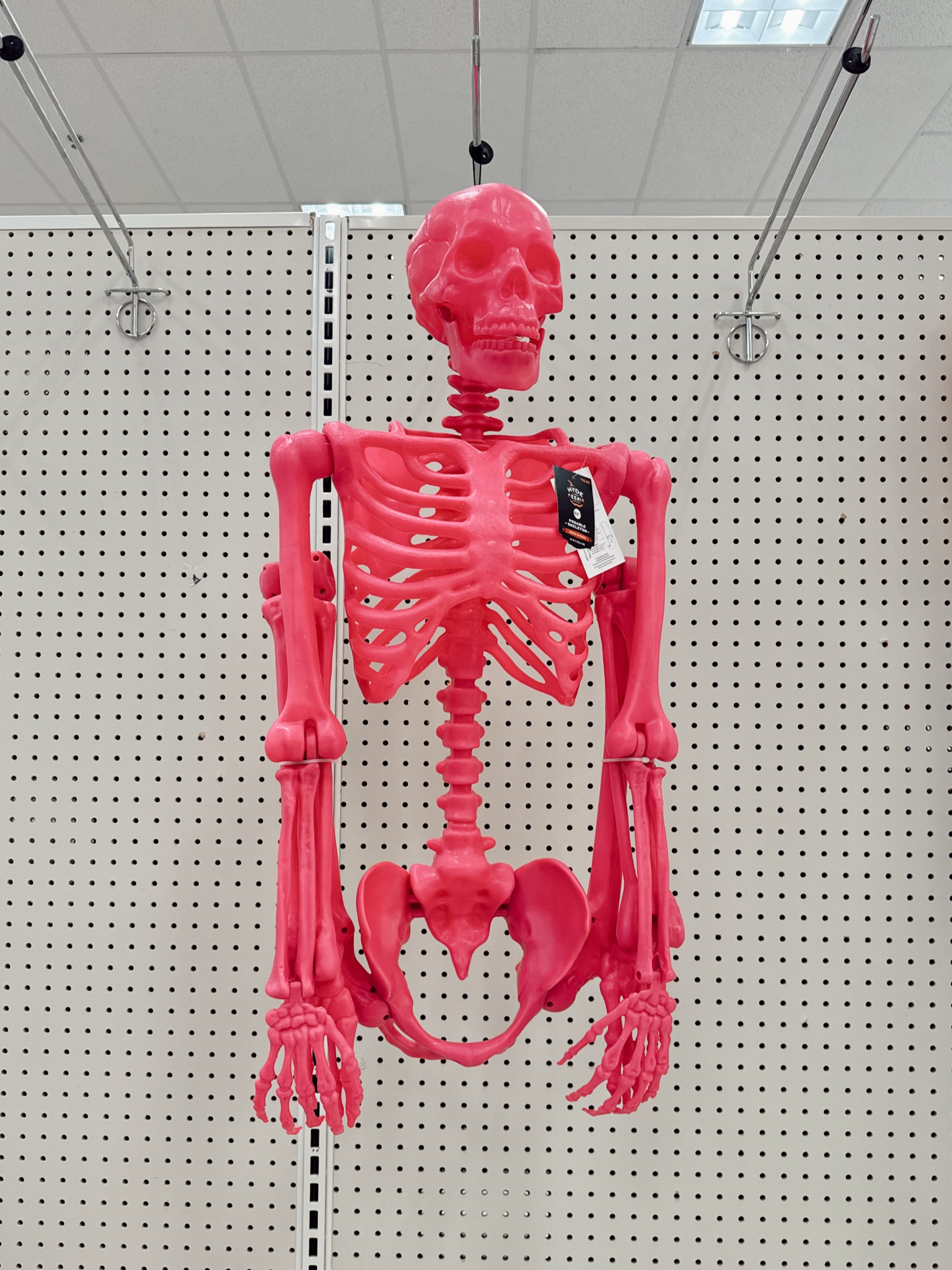 60” life size hot pink skeleton / indoor outdoor life size skeleton/ Halloween decor

#LTKSeasonal #LTKHome #LTKFindsUnder50