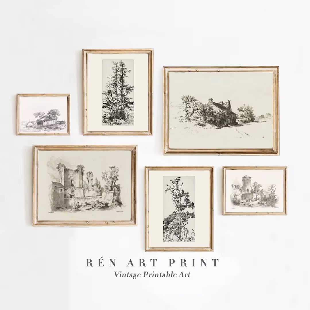 Neutral Gallery Wall Art Set of 6 Prints  Antique Sketch - Etsy | Etsy (US)