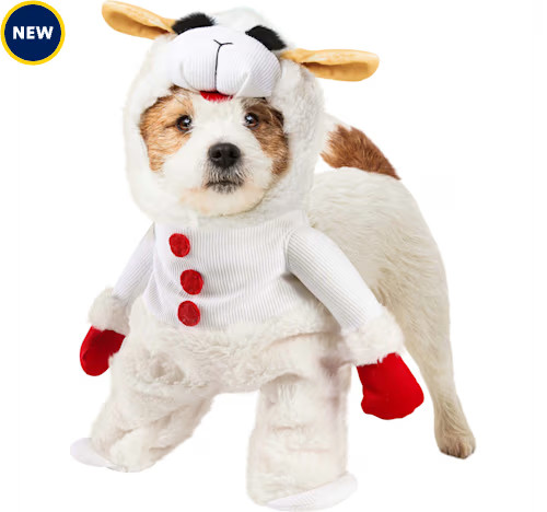 RUBIES Lamb Chop Pet Dog Costume, White, Small | Petco | Petco