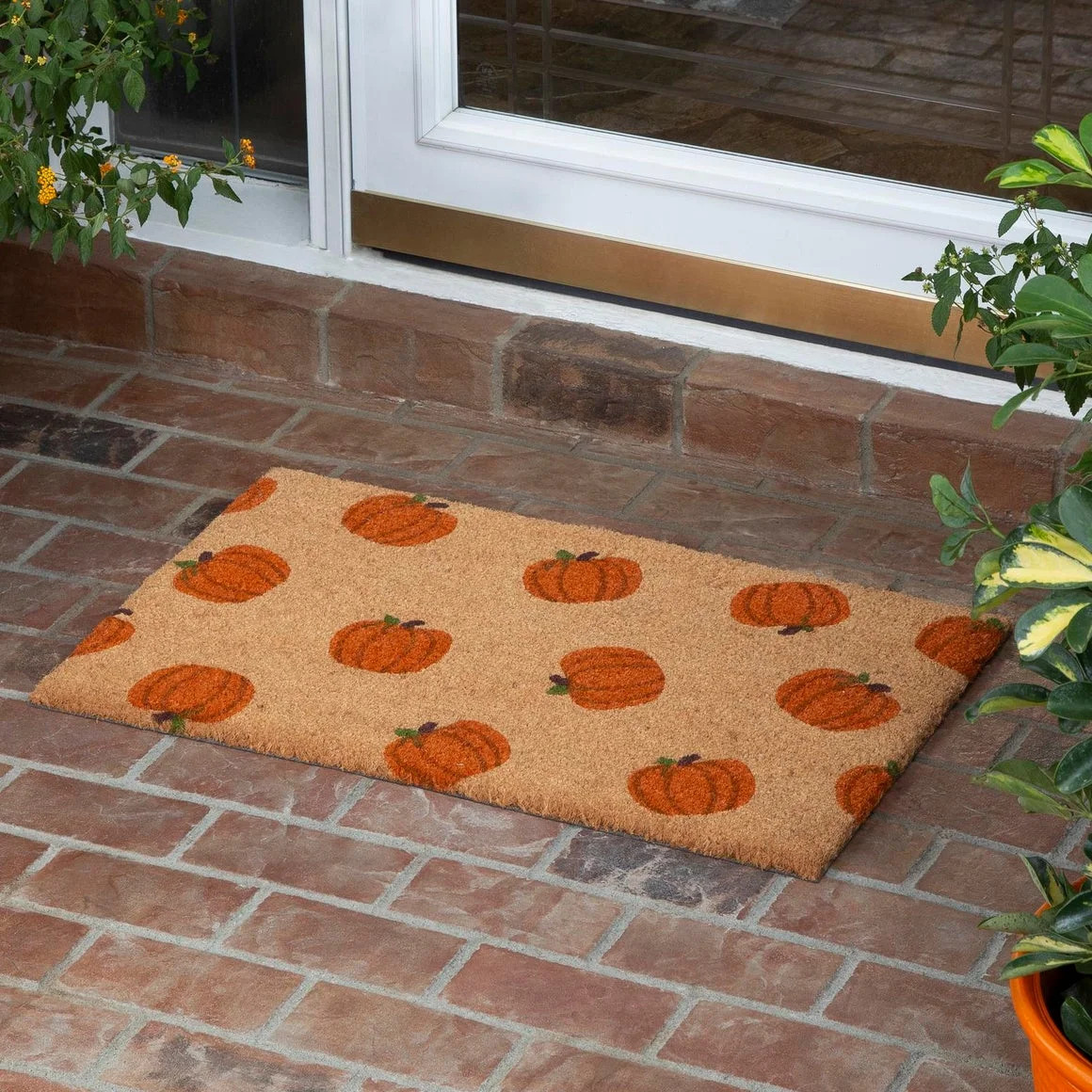 Adamsdale Non-Slip Outdoor Doormat | Birch Lane