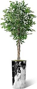 Artificial Tree in Contemporary Granite Effect Planter, Fake Ficus Silk Tree for Indoor and Outdo... | Amazon (US)