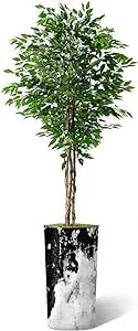 Artificial Tree in Contemporary Granite Effect Planter, Fake Ficus Silk Tree for Indoor and Outdo... | Amazon (US)