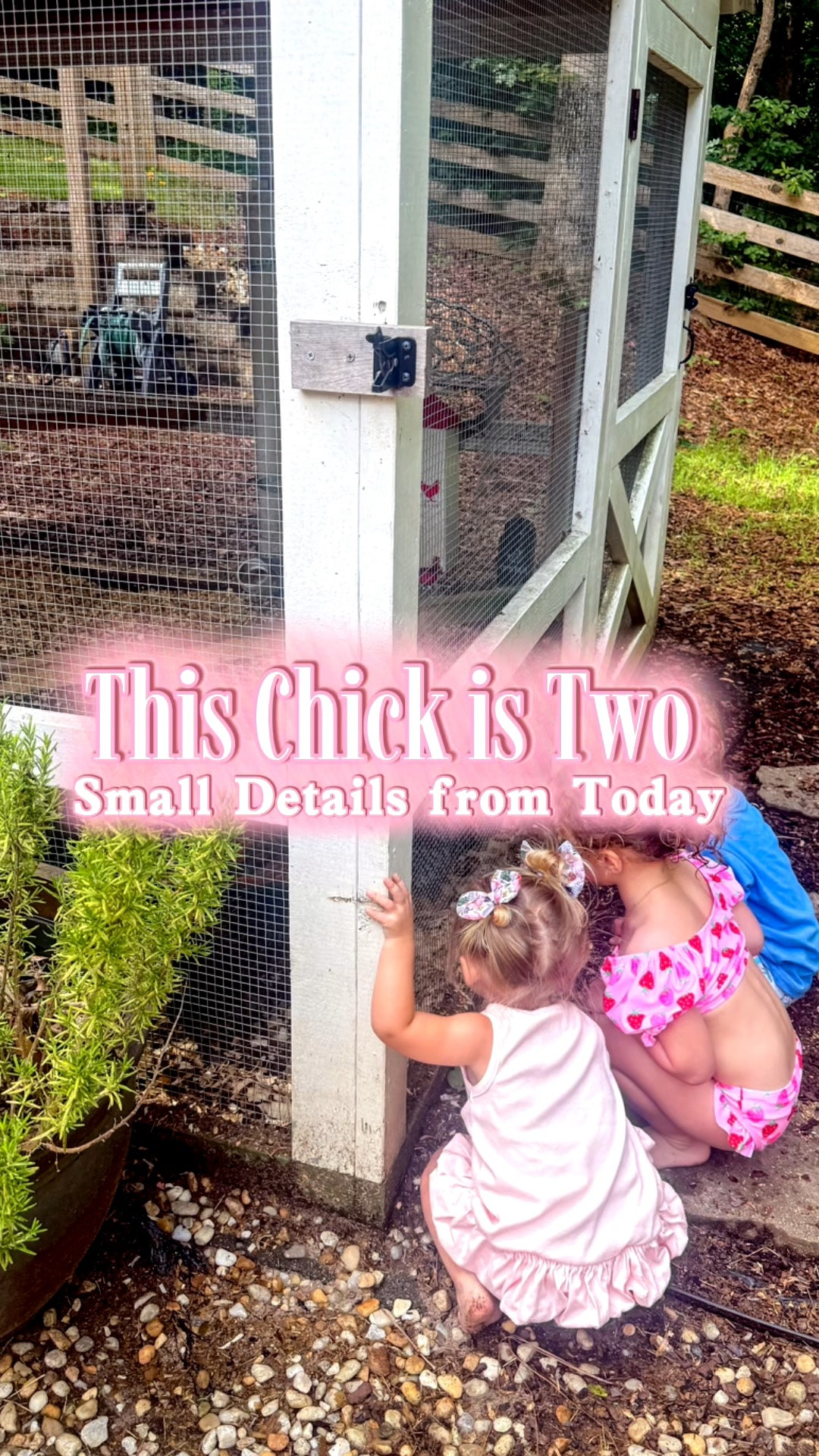 The decor items from sisters party

#LTKmomlife #LTKdayinmylife #LTKKids