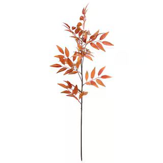 Orange Seeded Eucalyptus Stem by Ashland® | Michaels | Michaels Stores