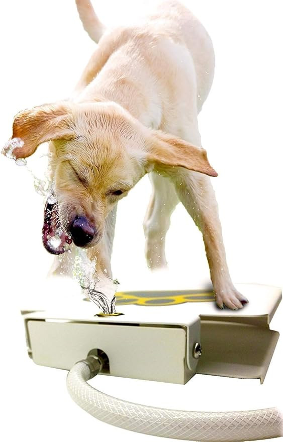 Dog Water Dispenser Pet Fountain - Upgraded 2021 Easy Paw Activated Dog Steps Eco-Friendly Pet Wa... | Amazon (US)