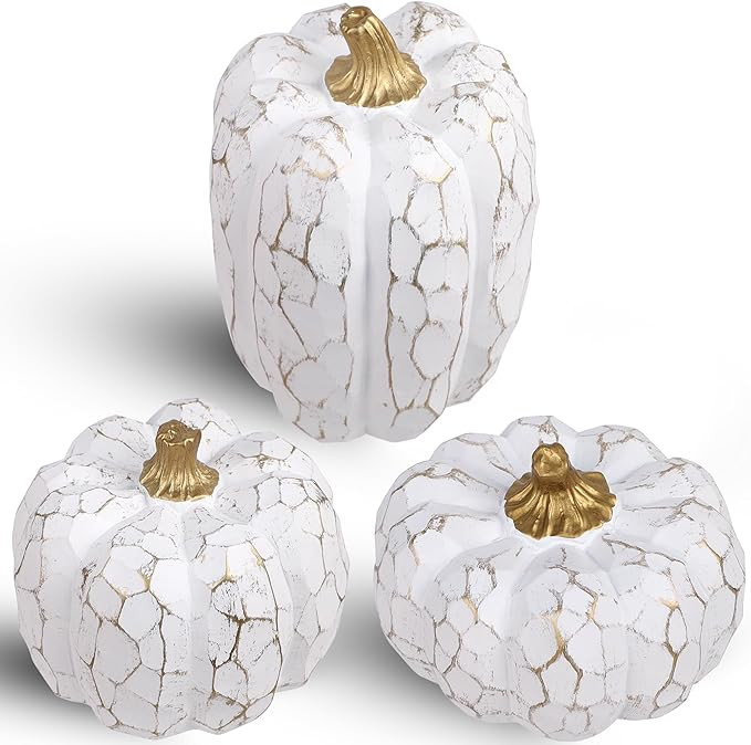 winemana Pumpkins Fall Decorations for Home- Set of 3 Elegant White Pumpkin Resin Thanksgiving Ce... | Amazon (US)