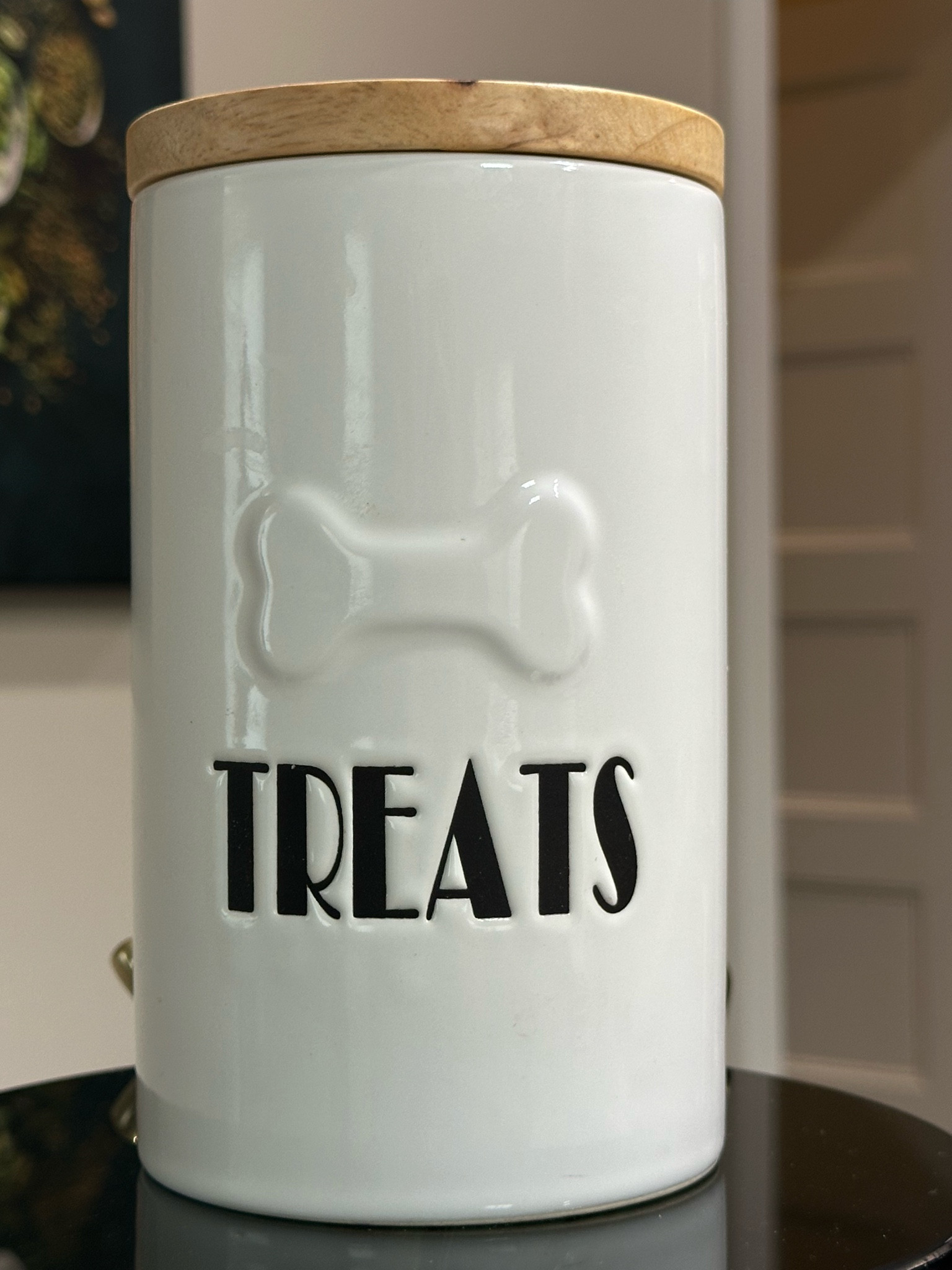 Dog Treat storage box
#chewy @chewy

#LTKFind #LTKunder50 #LTKhome