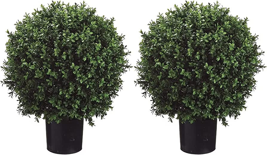 Brand: Silk Tree Warehouse | Amazon (US)