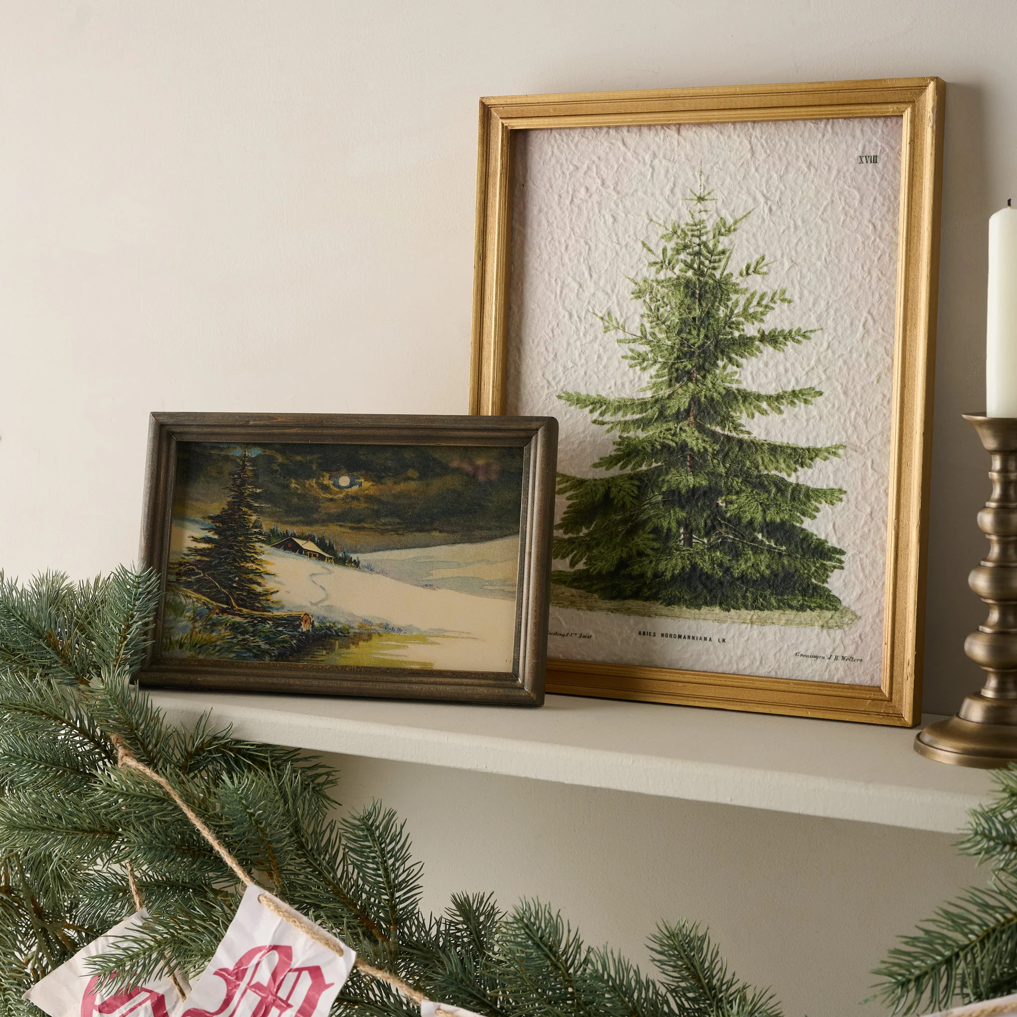 Vintage Christmas Fir Print | Magnolia