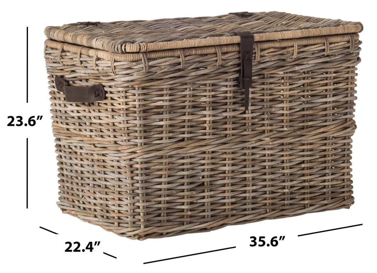 Whyte Wicker Trunk | Wayfair North America