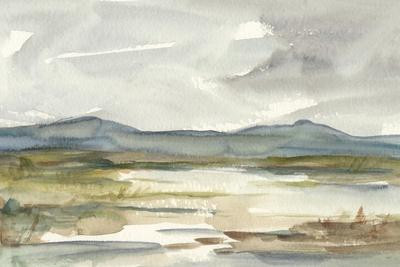 'Overcast Wetland I' Posters - Ethan Harper | AllPosters.com | Allposters.com