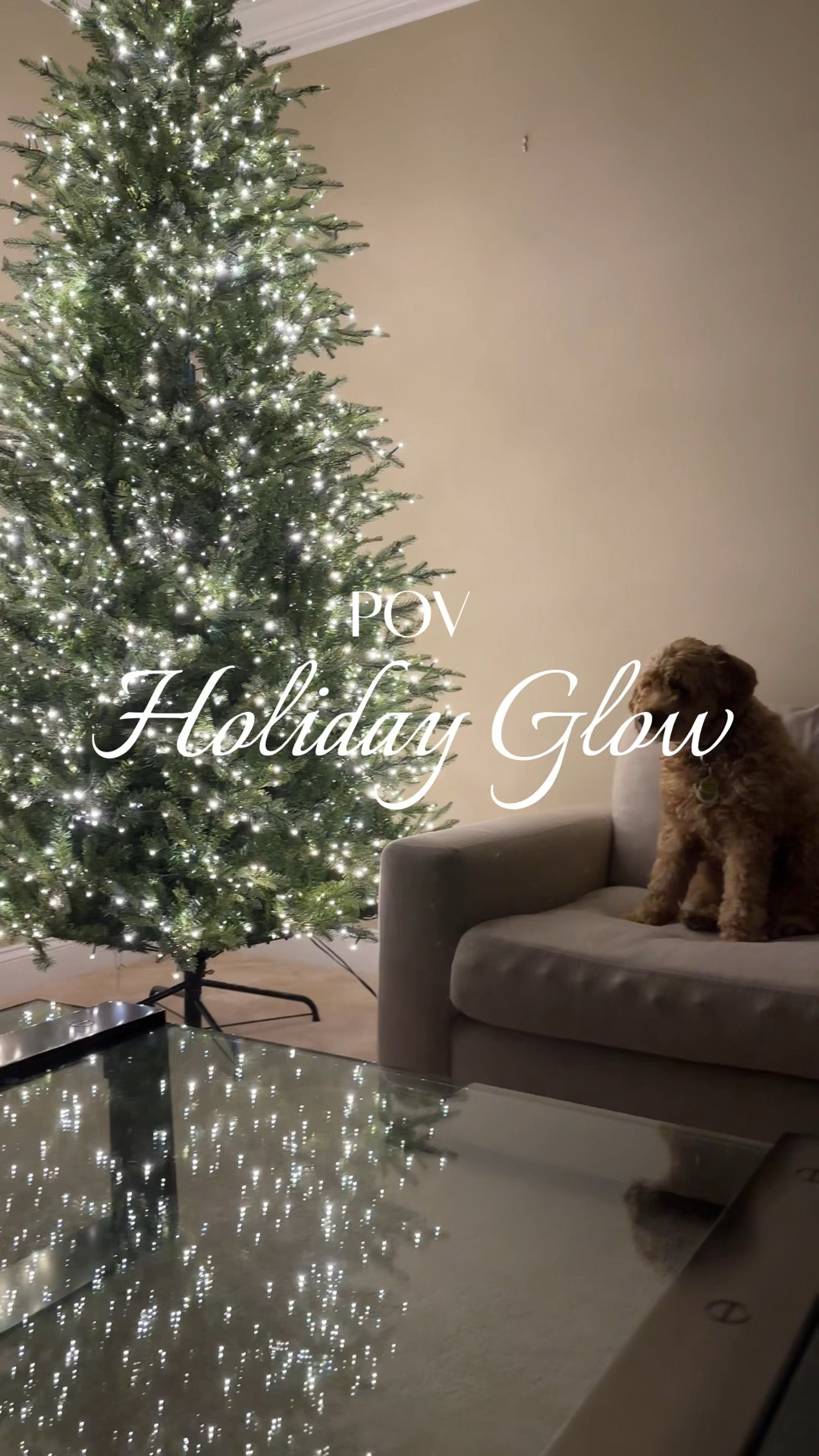 POV: enjoying the evening holiday flow ✨...one of my favorite things about the holiday season! Even the pups love it too 😍

This is a Micro LED light tree - I did not add any additional strands of lights to the tree and it is shown on the Twinkle setting. 

Twinkle tree // viral Christmas tree // pre lit Christmas tree // color flip tree // home depot tree // holiday decor // holiday home // Christmas decor

#LTKHoliday #LTKhome #LTKVideo