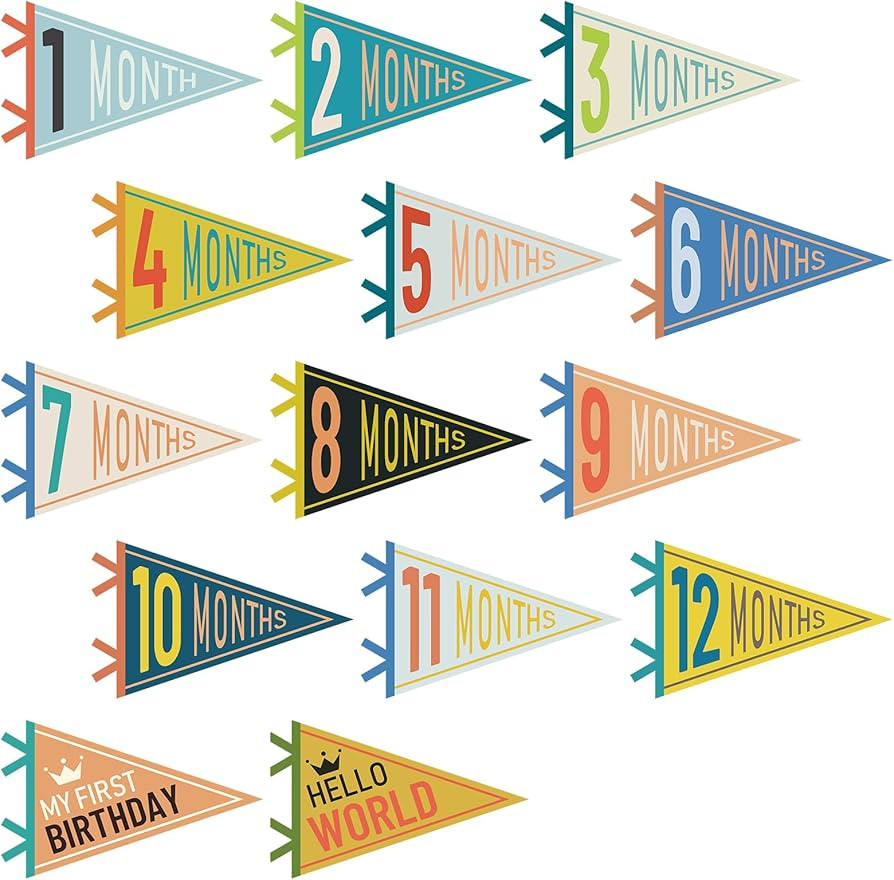 14 Pcs Baby Milestone Pennant Signs Monthly Milestone Banner Flags Pennant Triangle Banner Age Fl... | Amazon (US)