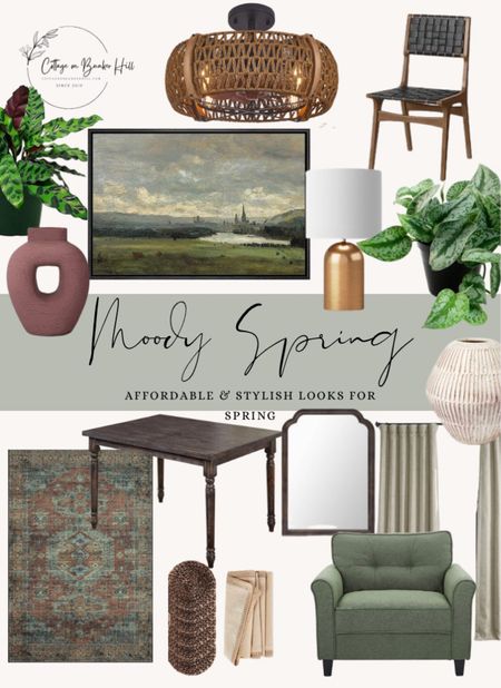 Moody Spring Aesthetic. Affordable home decor for Spring to add warmer, richer colors to your home. #moodydecor

#LTKhome #LTKSeasonal