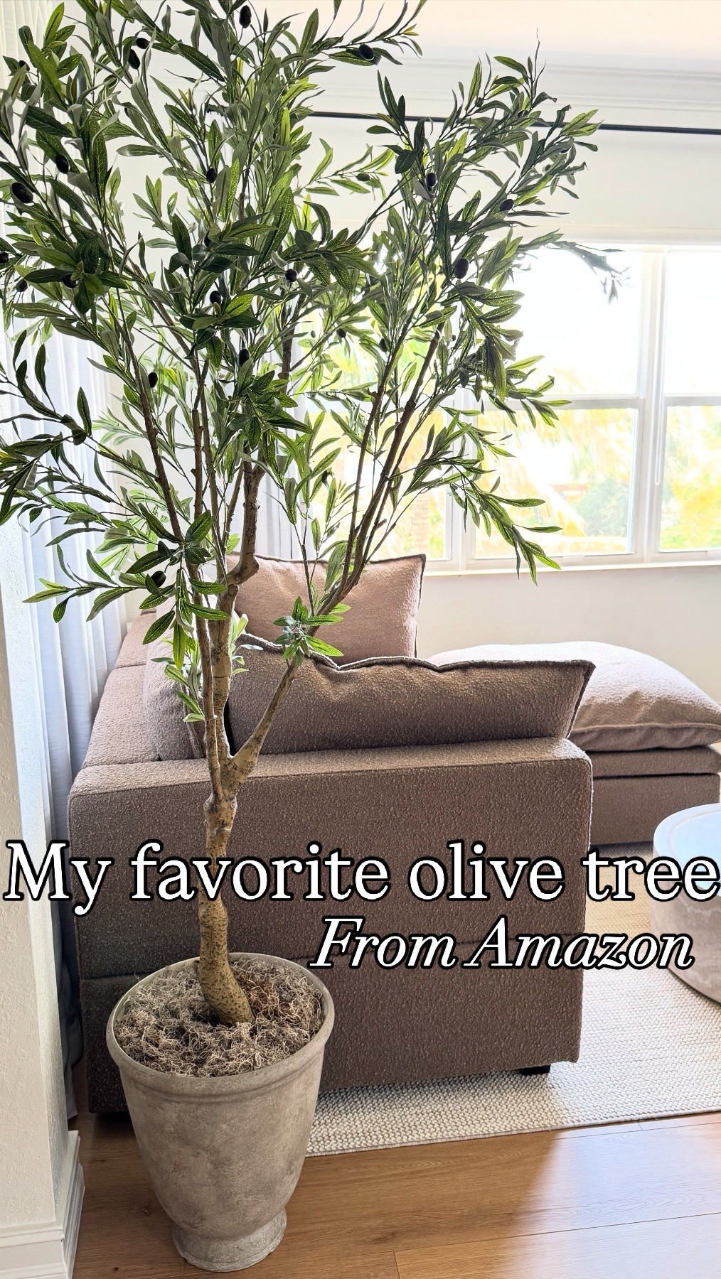 Just found the perfect faux olive tree on Amazon—and I’m honestly shocked at how realistic it looks! It added the perfect touch of greenery to this space without the upkeep. Totally worth the find!

#LTKStyleTip #LTKSaleAlert #LTKHome