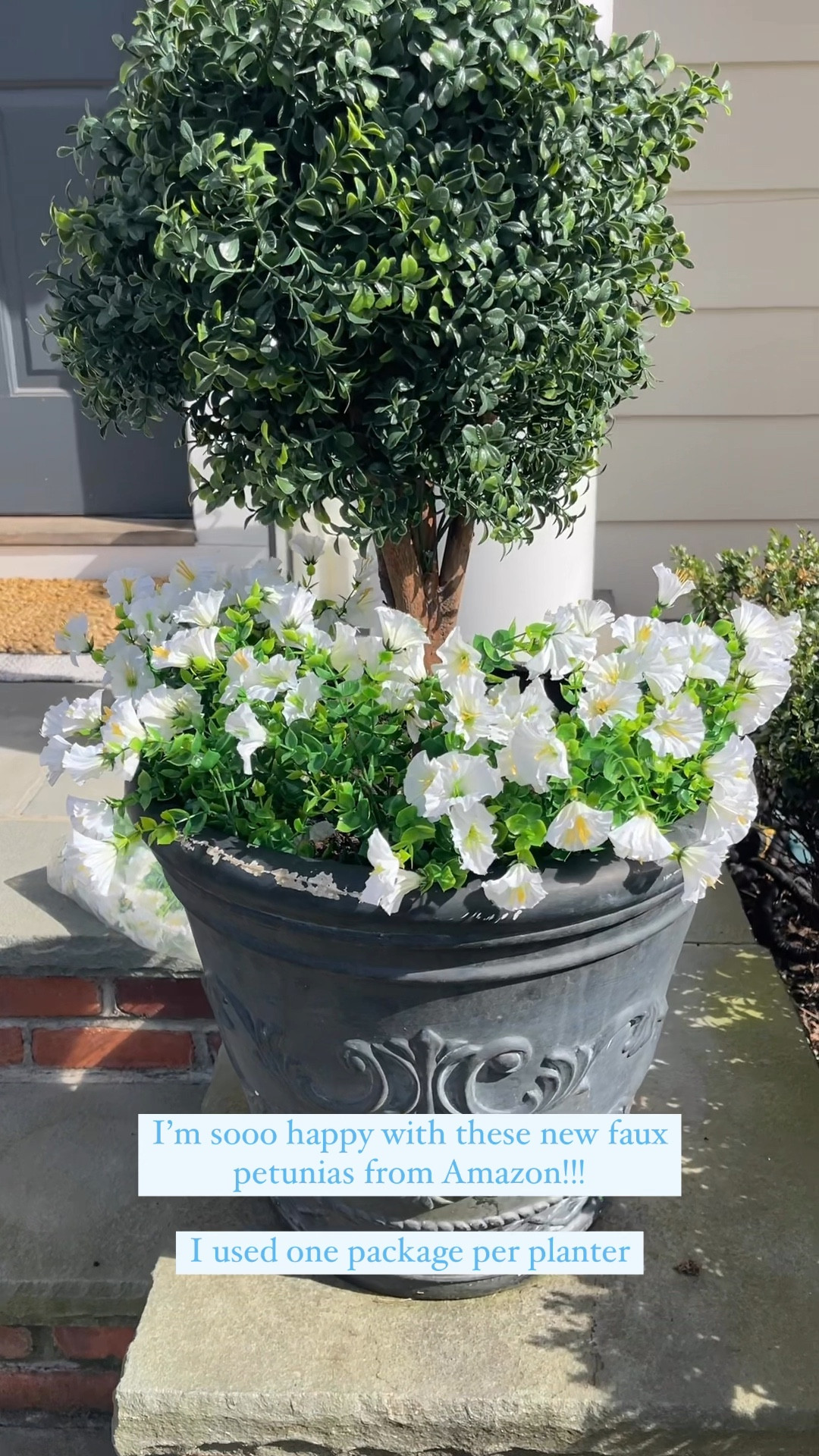 LOVE these new faux white petunias from Amazon!! I bought two packages, one for each planter! 

Paired them with my faux topiary’s too!

#LTKHome #LTKFindsUnder50 #LTKSeasonal