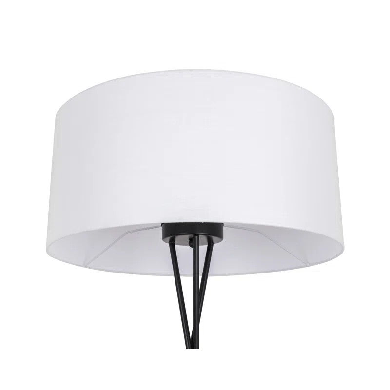 Barfield 66'' Tripod Floor Lamp | Wayfair North America