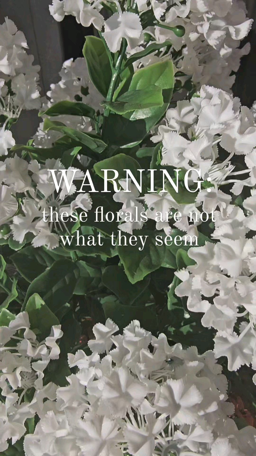 Faux crape myrtle plants that look so real! These are my favorite faux plants of the season🙌. Shop by clicking the thumbnails below 👇 porch decor, faux porch decor, porch refresh, patio decor, patio refresh, porch, spring porch decor, spring porch, faux spring  florals, Faux crape myrtle, crape myrtle 

#LTKHome #LTKSeasonal #LTKWatchNow