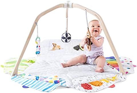Amazon.com : The Play Gym by Lovevery | Stage-Based Developmental Activity Gym & Play Mat for Bab... | Amazon (US)