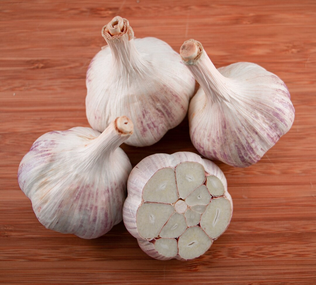 Pre-order Our Music Hardneck Garlic for Cooking and Planting. - Etsy | Etsy (US)