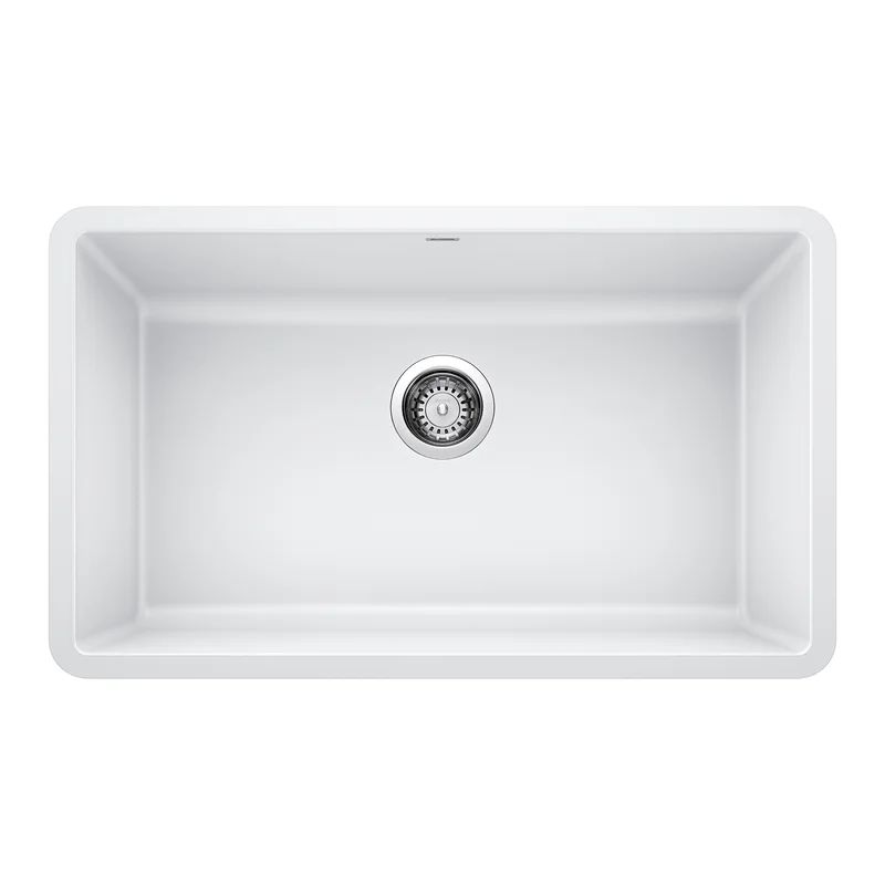 Precis 30" L X 18" W Undermount Kitchen Sink With Cut Out Template | Wayfair Professional