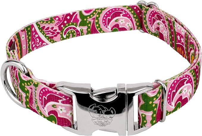 Country Brook Petz - Premium Pink Paisley Dog Collar - Paisley Collection with 6 Classy Designs (... | Amazon (US)